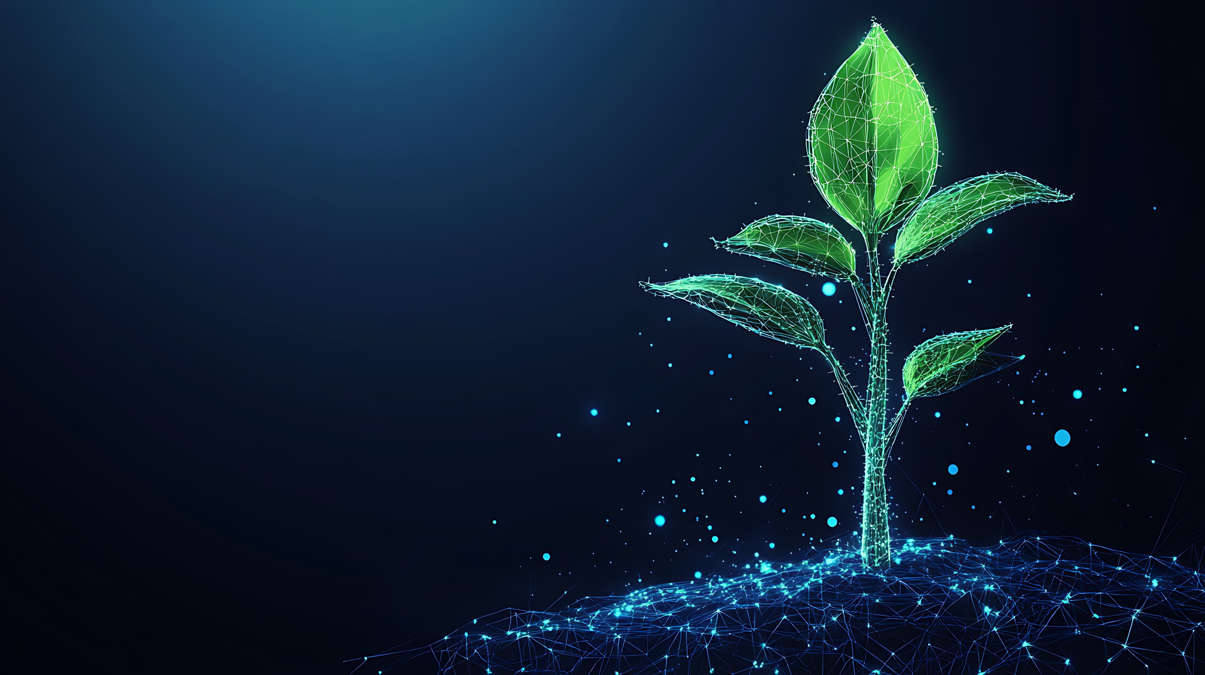 the-rise-of-builtin-content-in-streaming-and-social-media-platforms