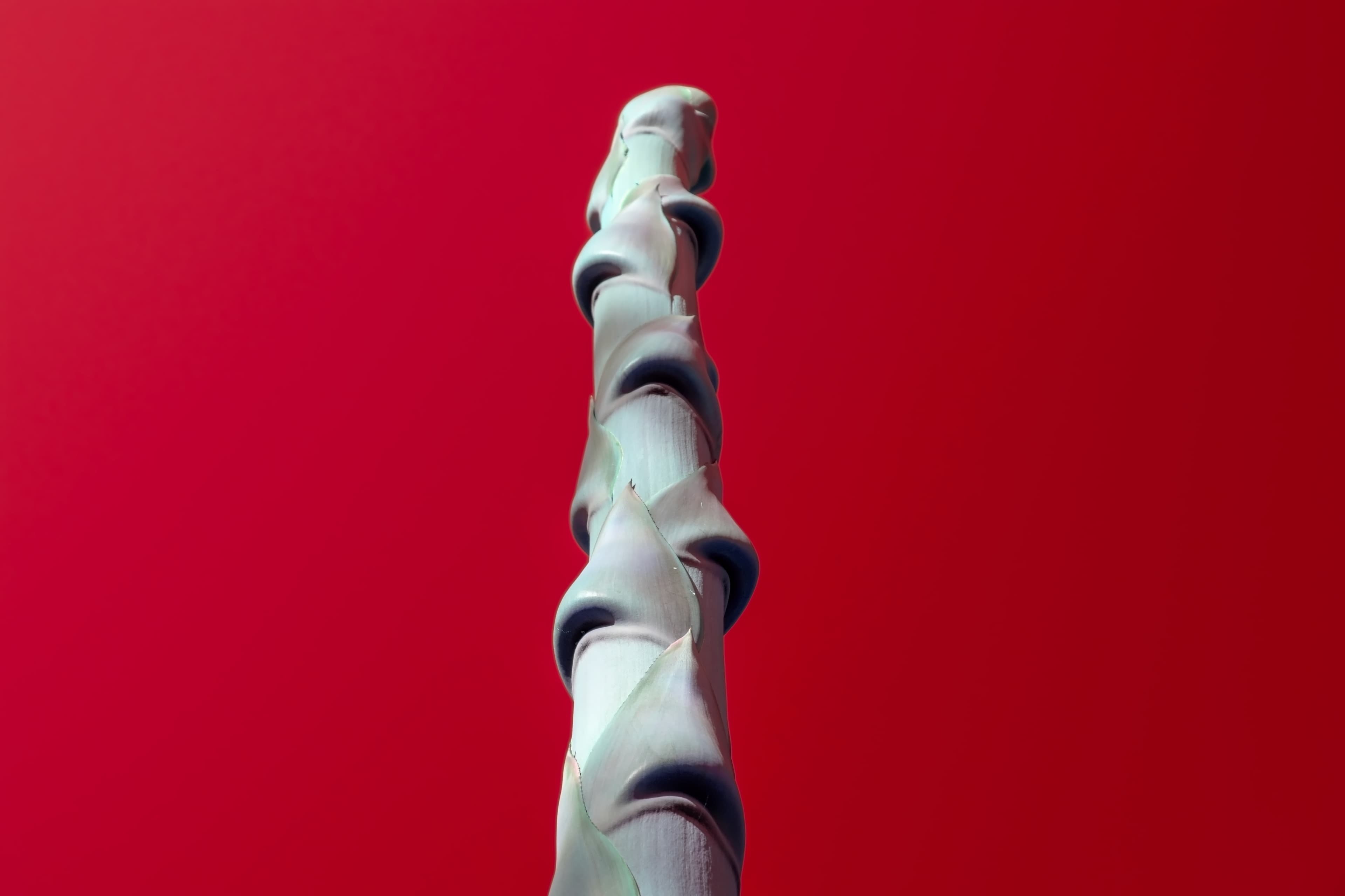 why-creative-strategy-is-the-backbone-of-every-successful-advertising-campaign